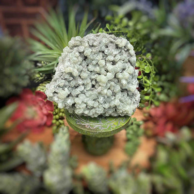Prehnite - Specimen