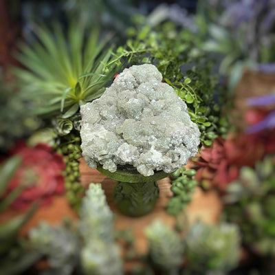 Prehnite - Specimen