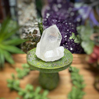 Clear Quartz - Specimens - Set 1