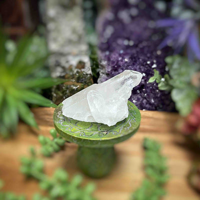 Clear Quartz - Specimens - Set 1