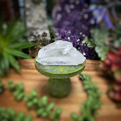 Clear Quartz - Specimens - Set 2