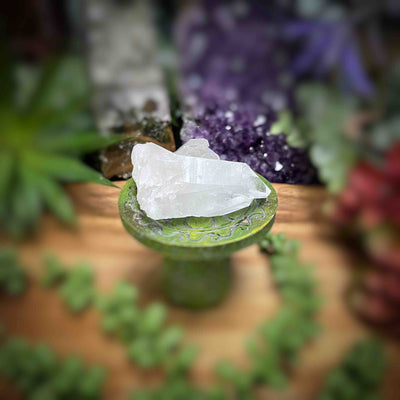 Clear Quartz - Specimens - Set 2