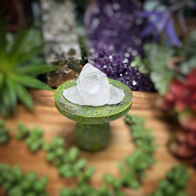 Clear Quartz - Specimens - Set 2