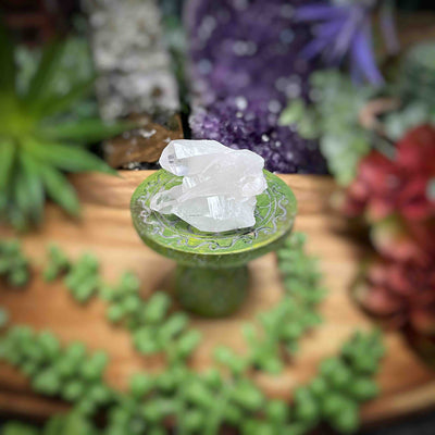 Clear Quartz - Specimens - Set 2