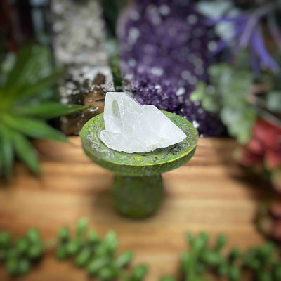 Clear Quartz - Specimens - Set 3