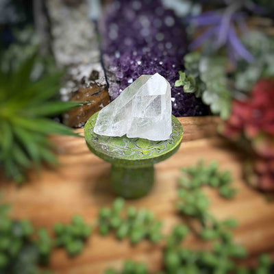 Clear Quartz - Specimens - Set 3