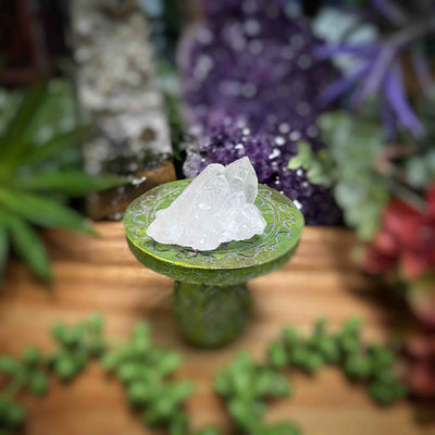 Clear Quartz - Specimens - Set 5