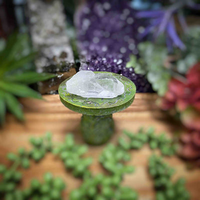 Clear Quartz - Specimens - Set 5