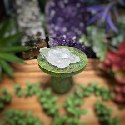 Clear Quartz - Specimens - Set 5