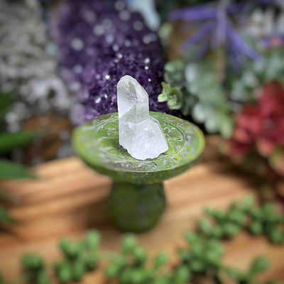 Clear Quartz - Specimens - Set 6