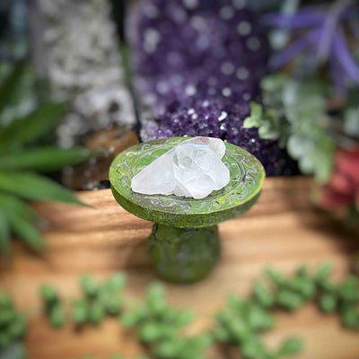 Clear Quartz - Specimens - Set 6