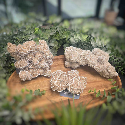 Desert Rose - Specimen Set 1