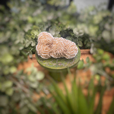 Desert Rose - Specimen Set 1