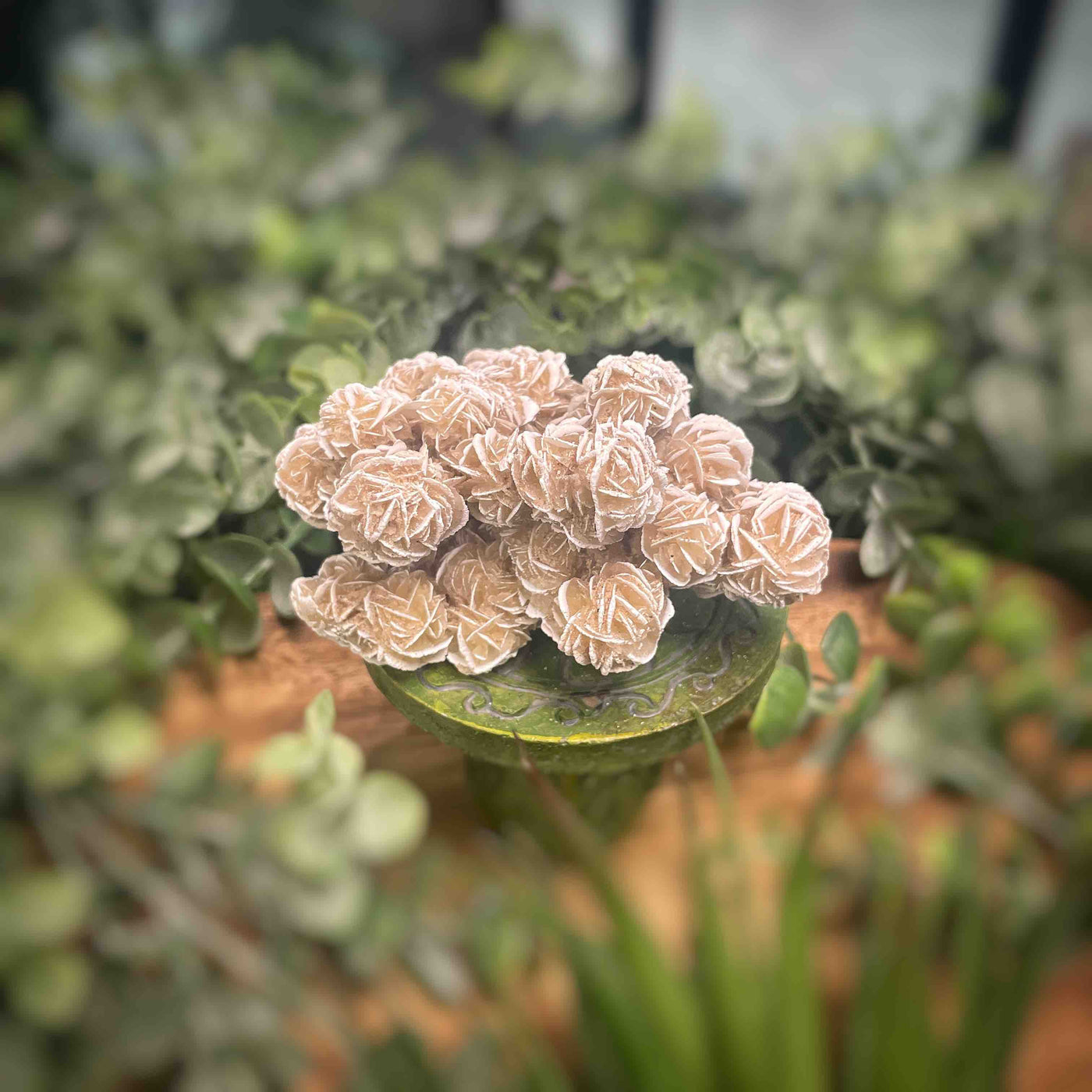 Desert Rose - Specimen Set 1