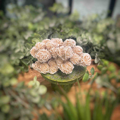 Desert Rose - Specimen Set 1