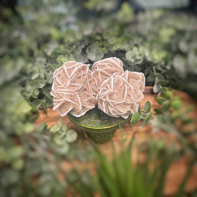 Desert Rose - Specimen Set 1