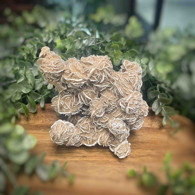 Desert Rose - Specimen Set 1