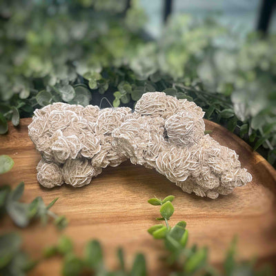Desert Rose - Specimen Set 1
