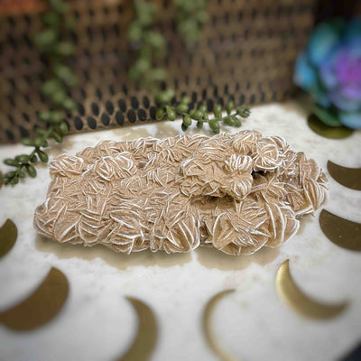 Desert Rose - Specimen Set 2