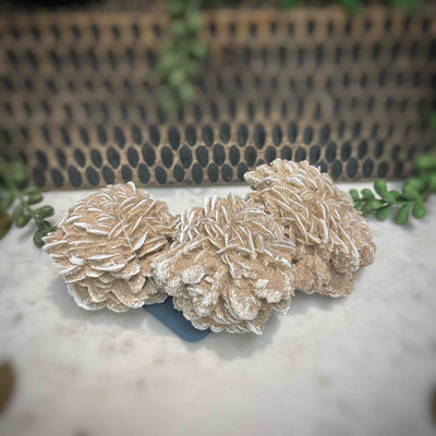 Desert Rose - Specimen Set 2