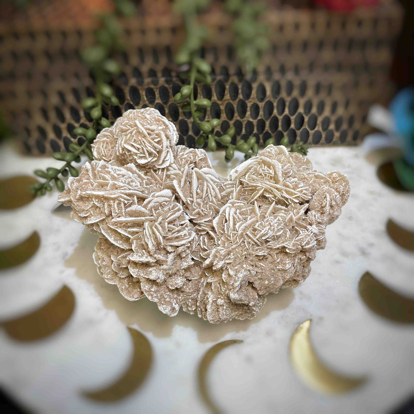 Desert Rose - Specimen Set 2