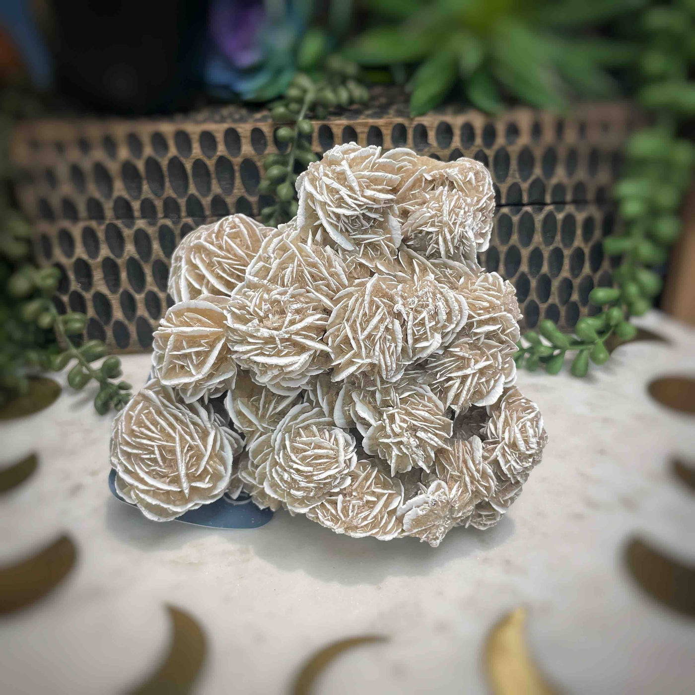 Desert Rose - Specimen Set 2