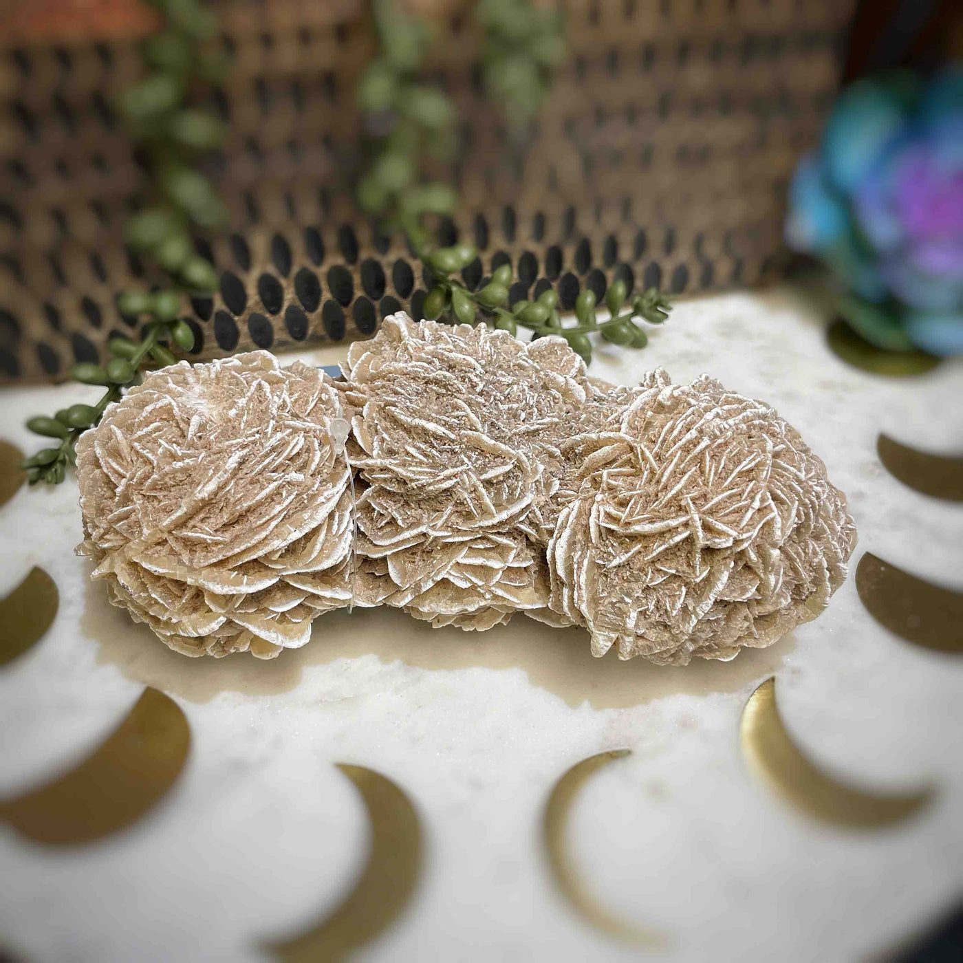 Desert Rose - Specimen Set 2