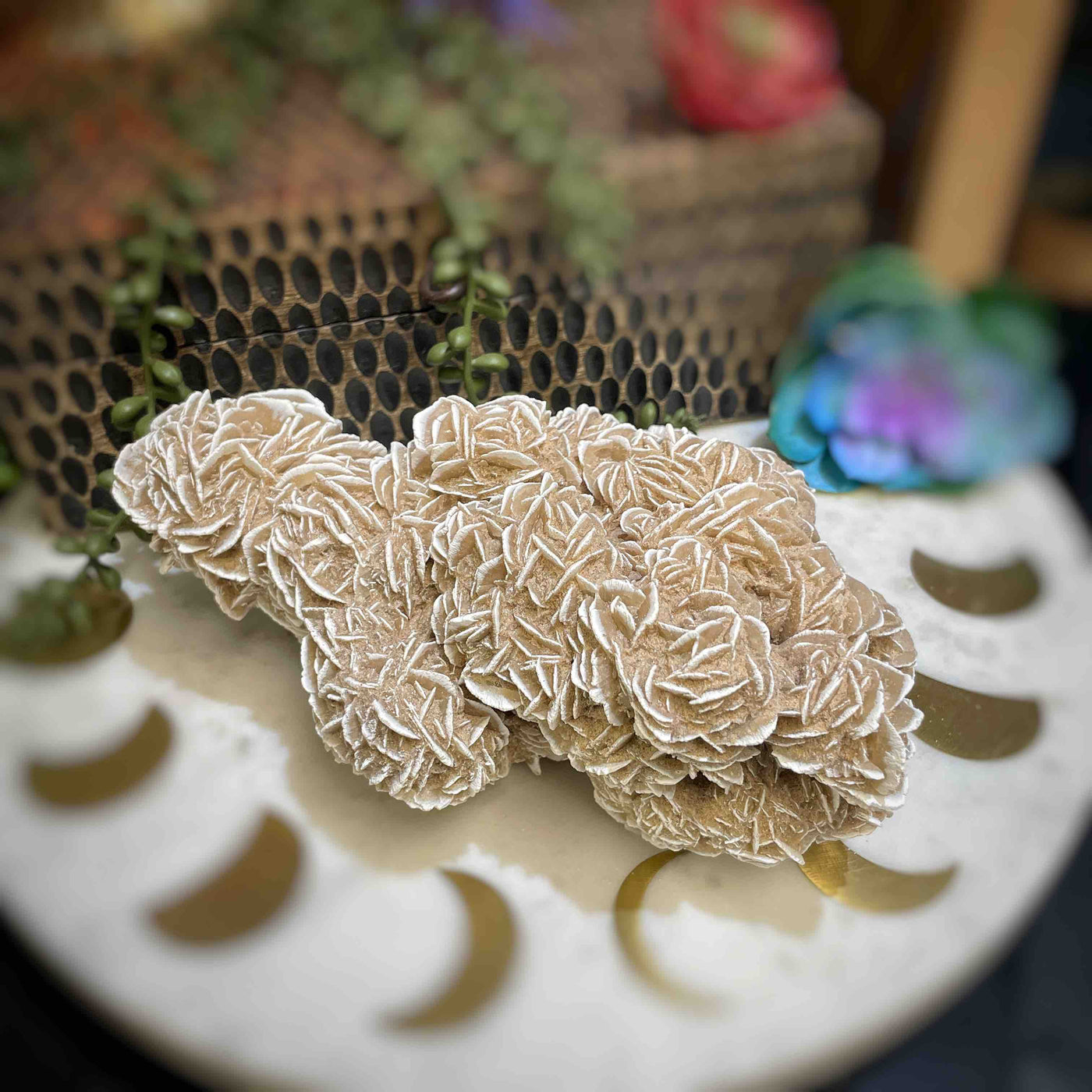 Desert Rose - Specimen Set 2
