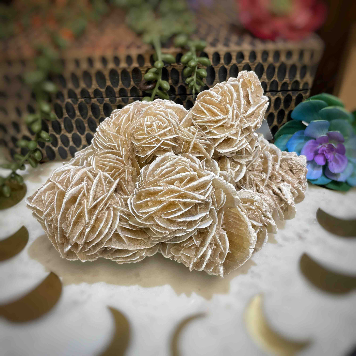 Desert Rose - Specimen Set 2