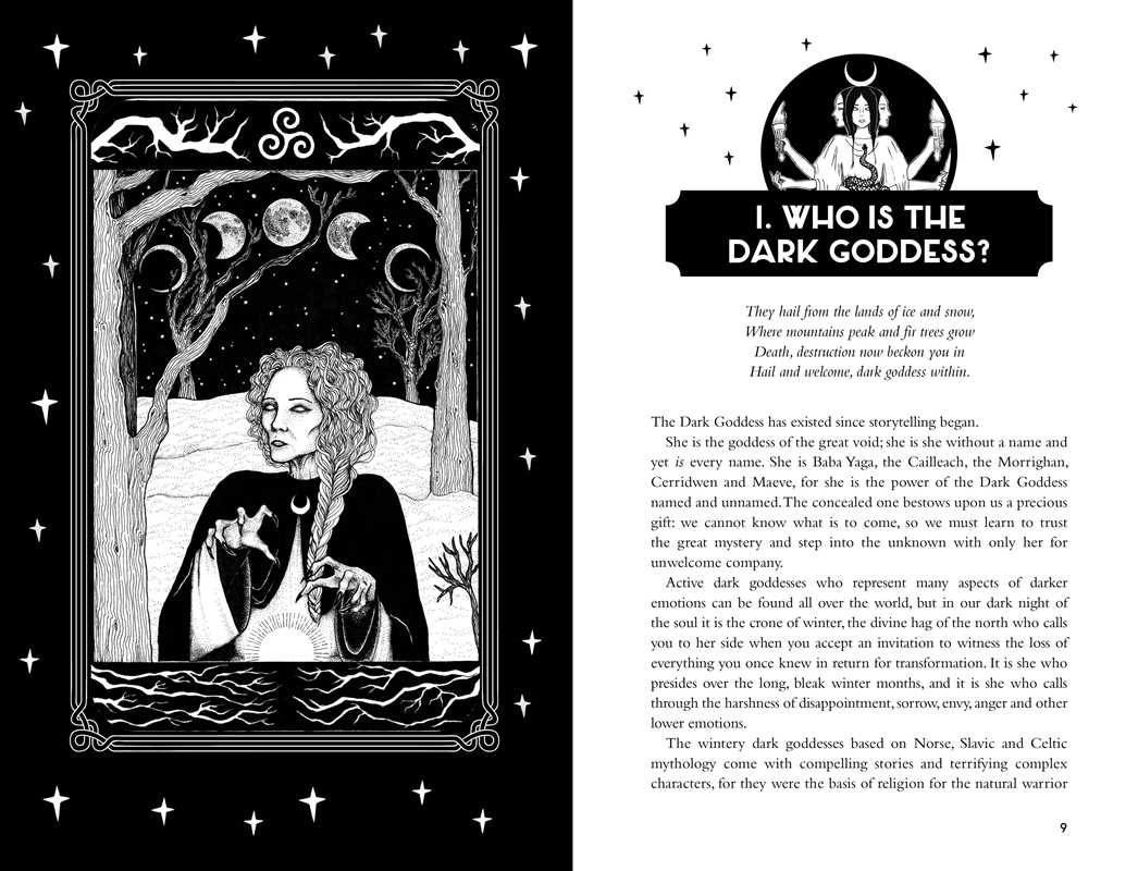 Reclaim your Dark Goddess by Flavia Kate Peters: Paperback; 384 pages / English