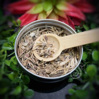 Echinacea Purpurea Root Incense - Loose Leaf