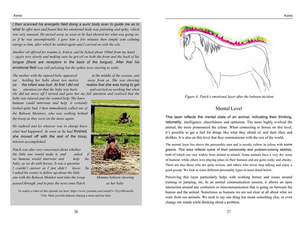 Energy Medicine for Animals by Diane Budd: Paperback; 192 pages / English