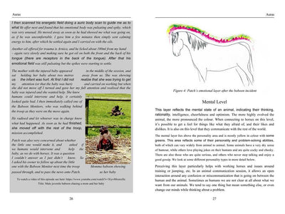 Energy Medicine for Animals by Diane Budd: Paperback; 192 pages / English