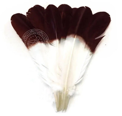 Feather - Turkey Multi Choice W110-Turkey Imitation Eagle Meditation Self Care