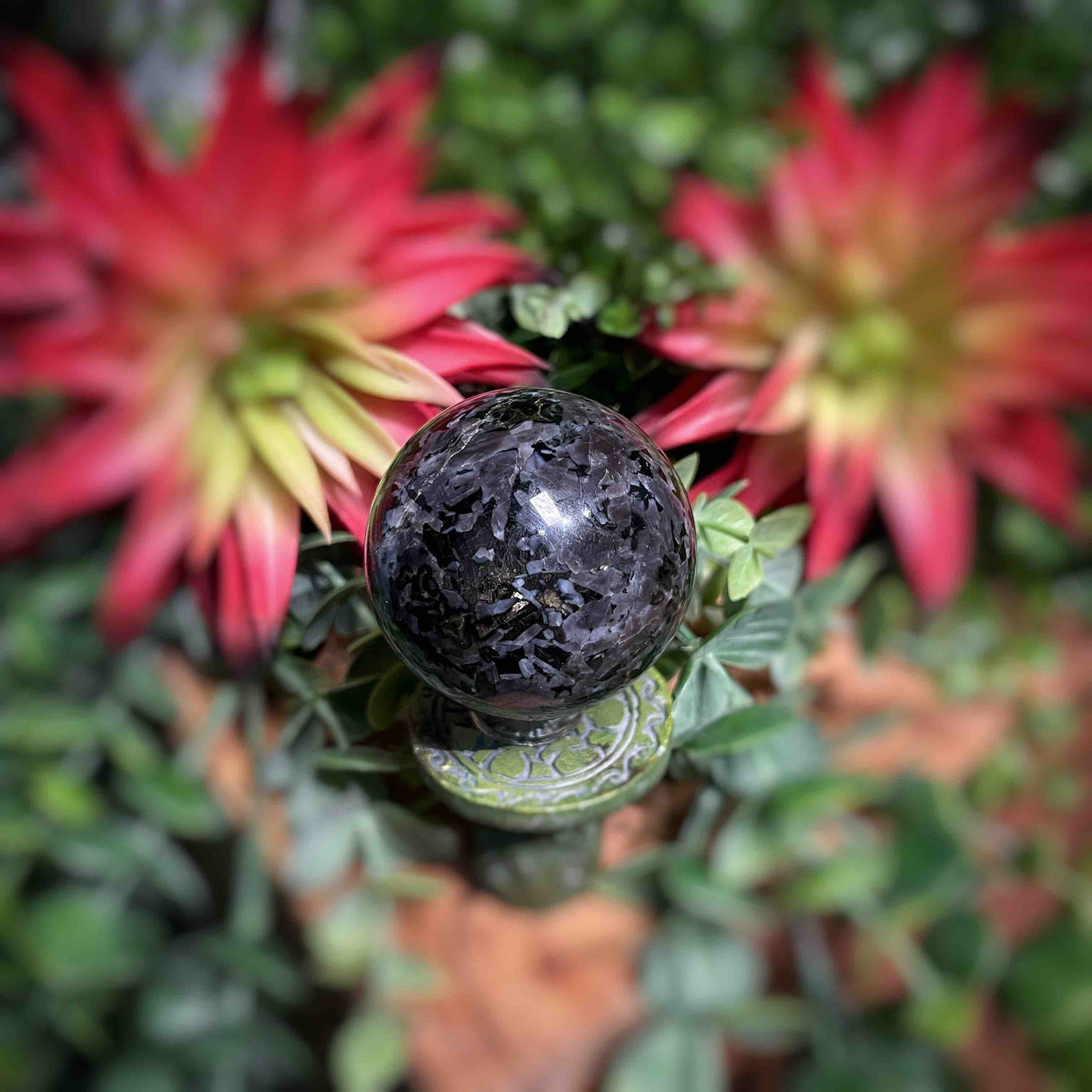 Indigo Gabbro - Spheres 1.8" - 2.8"