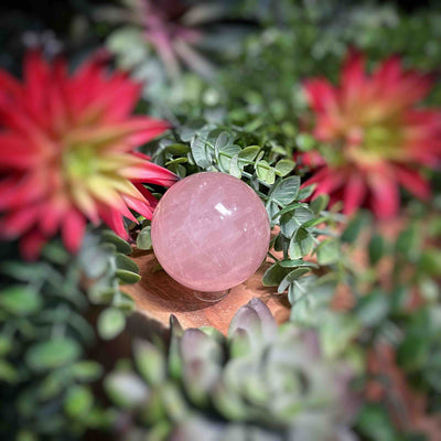 Rose Quartz - Spheres 2" - 2.1"