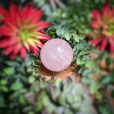 Rose Quartz - Spheres 2" - 2.1"