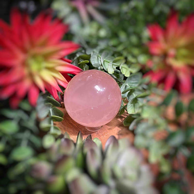 Rose Quartz - Spheres 2" - 2.1"
