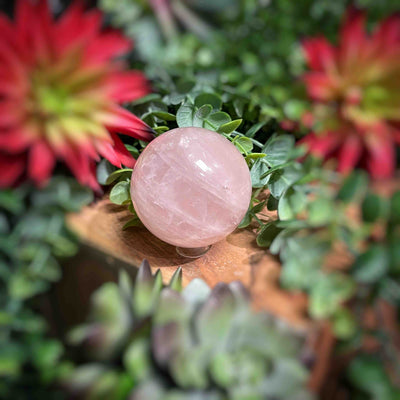 Rose Quartz - Spheres 2" - 2.1"