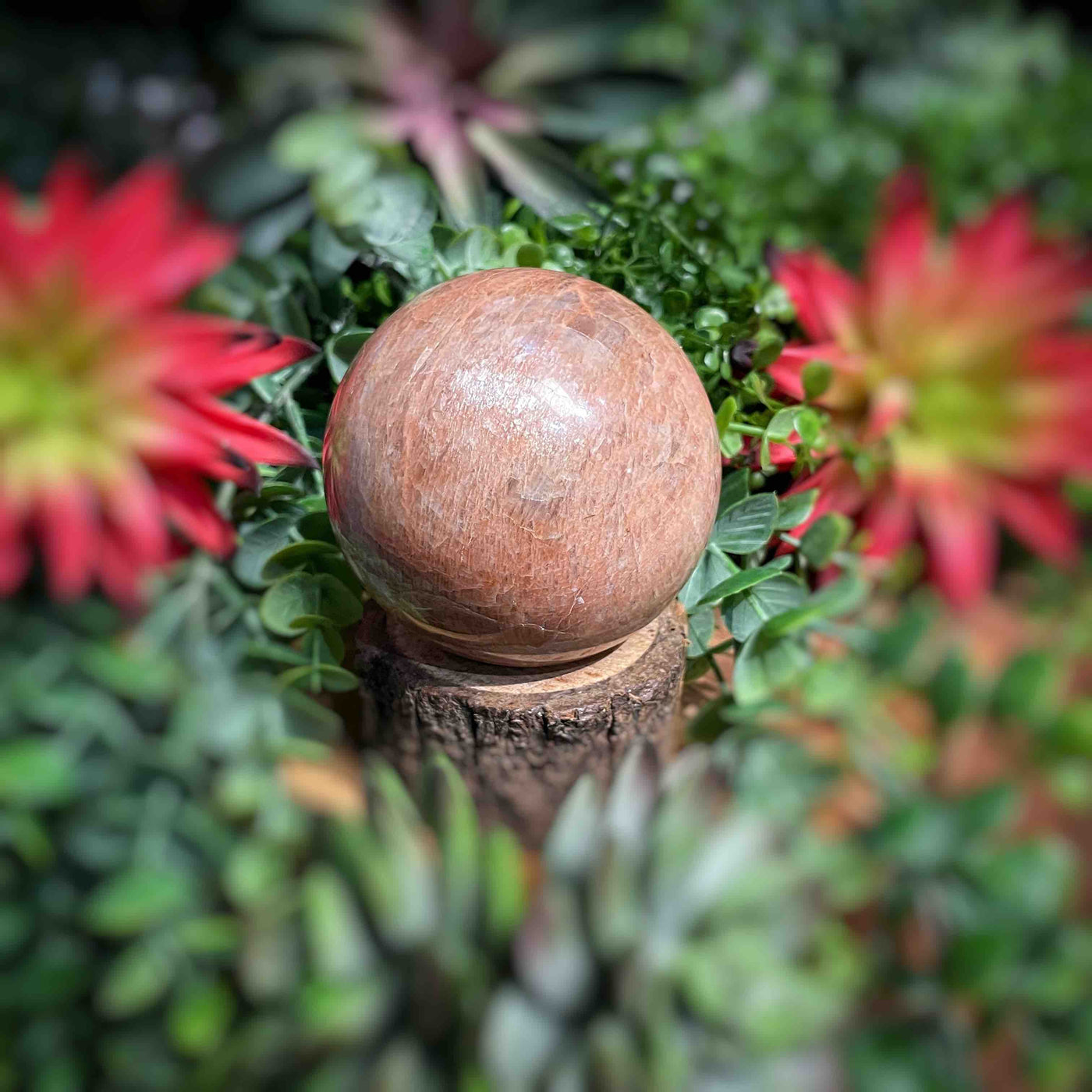 Peach Moonstone - Spheres - 2.8"