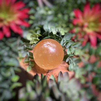 Honey Calcite - Sphere - Multi Choice - 1.7" - 5.2"
