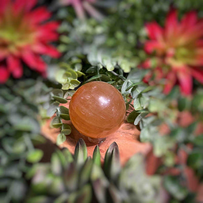 Honey Calcite - Sphere - Multi Choice - 1.7" - 5.2"