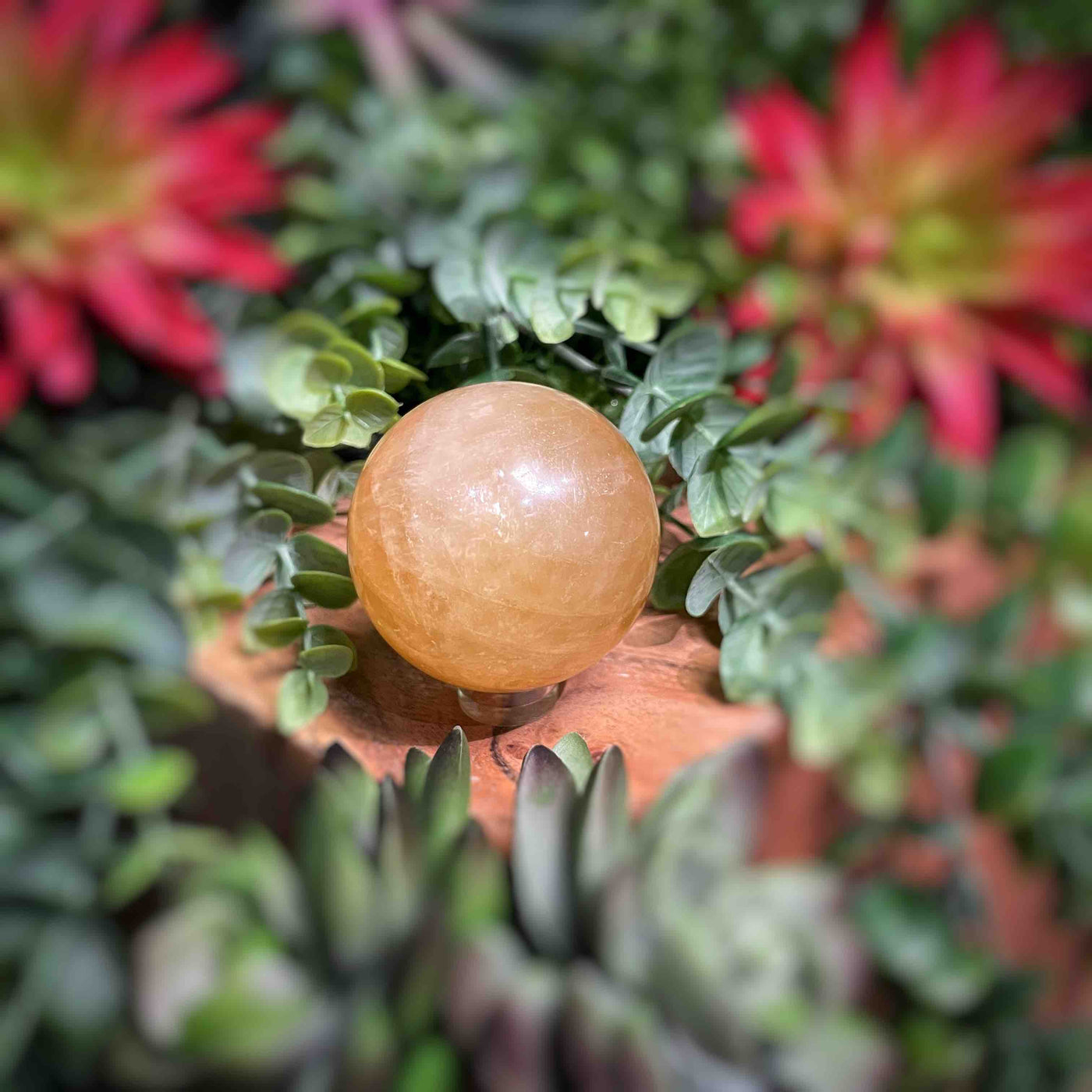 Honey Calcite - Sphere - Multi Choice - 1.7" - 5.2"