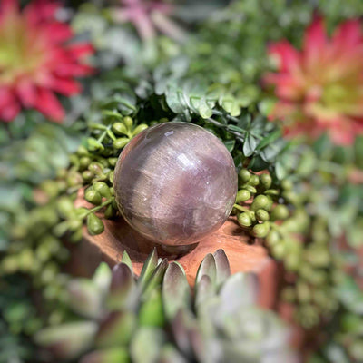 Fluorite - Spheres - Set 1
