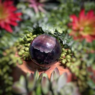 Fluorite - Spheres - Set 1