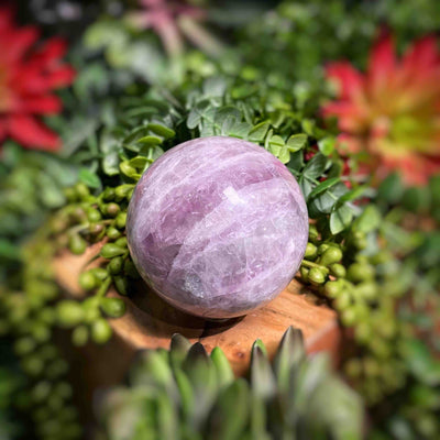 Fluorite - Spheres - Set 2
