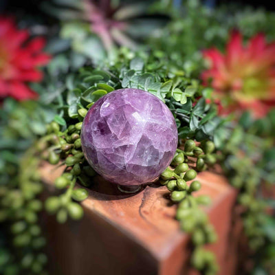 Fluorite - Spheres - Set 2