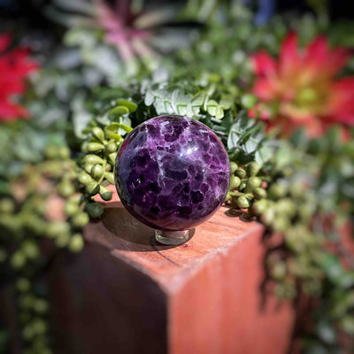 Fluorite - Spheres - Set 3