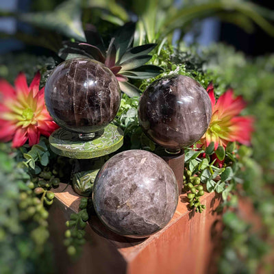 Smoky Quartz - Spheres