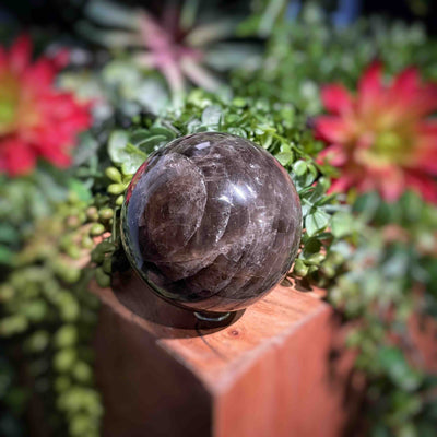 Smoky Quartz - Spheres